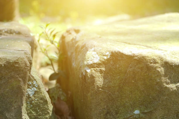 istock Stone in the park. Natural scenery in sunny day. 1148795239