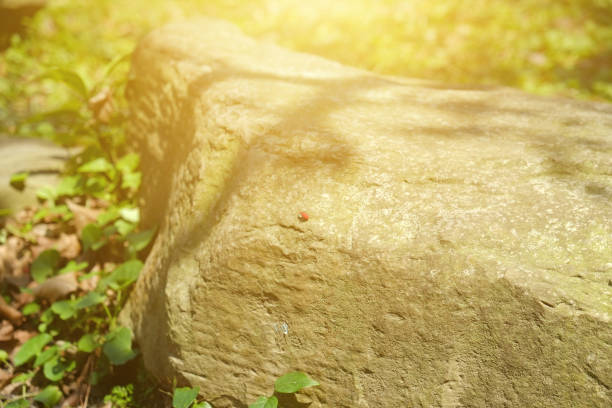 istock Stone in the park. Natural scenery in sunny day. 1148795315