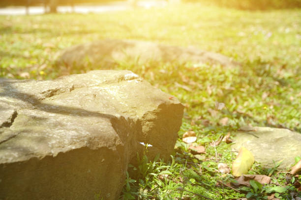 Imagery about nature, organic, health, exercise.