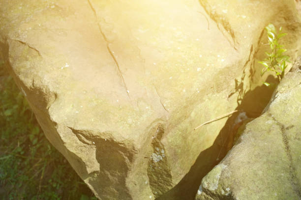 istock Stone in the park. Natural scenery in sunny day. 1148795334