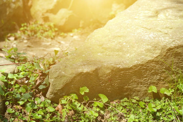istock Stone in the park. Natural scenery in sunny day. 1148795383