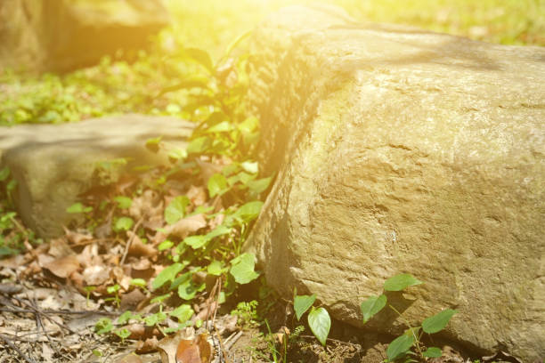 istock Stone in the park. Natural scenery in sunny day. 1148795470