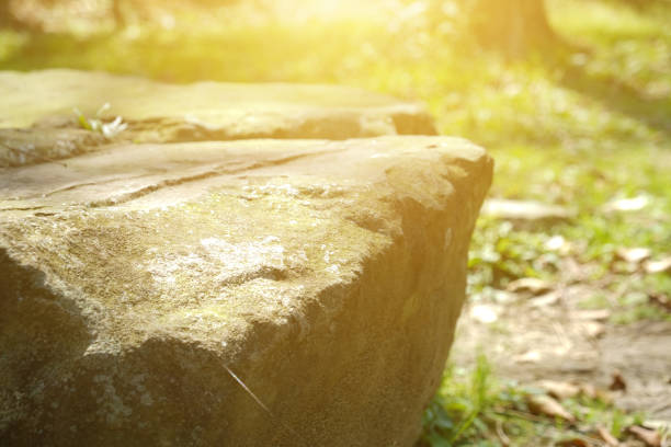 Some stapled stones in a river near a forest. A good place for meditaion.