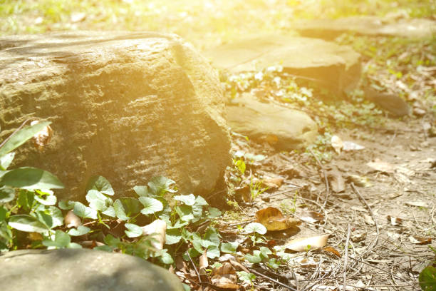 istock Stone in the park. Natural scenery in sunny day. 1148795533