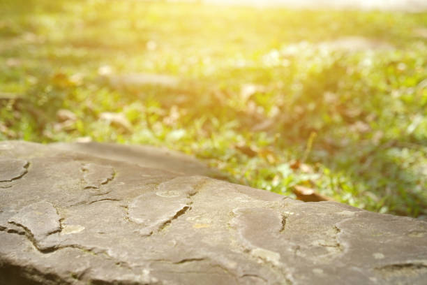 Imagery about nature, organic, health, exercise.