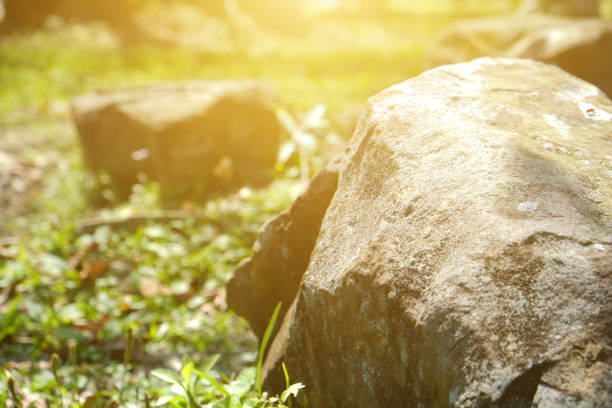 istock Stone in the park. Natural scenery in sunny day. 1148795758