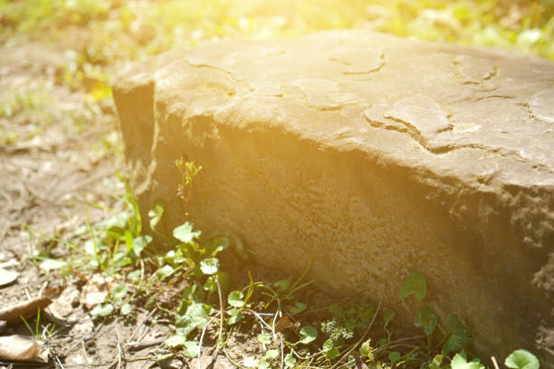 Stone wall in the park as a background. No people, copy space.