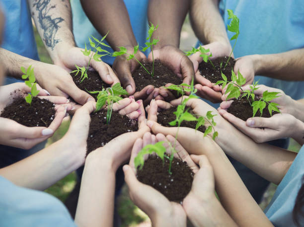 grupo de voluntarios con brotes para cultivar - growth plant human hand tree fotografías e imágenes de stock