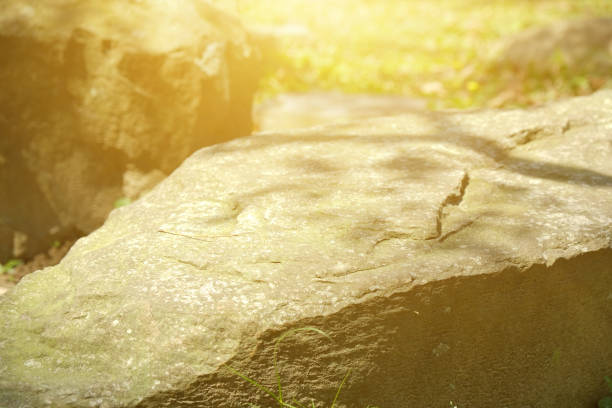 istock Stone in the park. Natural scenery in sunny day. 1148796707