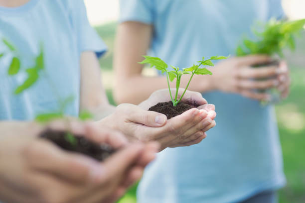 istock Group of volunteer with sprout for growing 1148796709