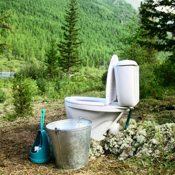 istock Ceramic new toilet in the woods 1148798431