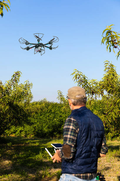 istock Farmer Driving a Drone to Check the Cultivated Fields 1148798644