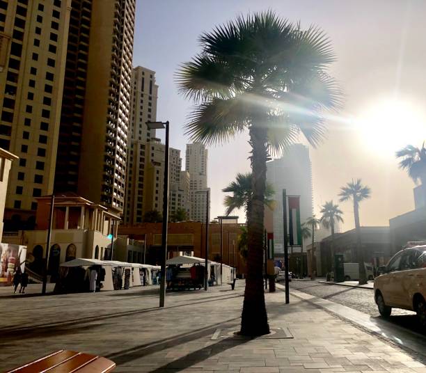 istock palm, sun and taxi in dubai 1148801129