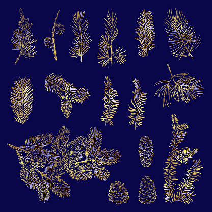 Set vector christmas golden branch and bumps with foil texture
