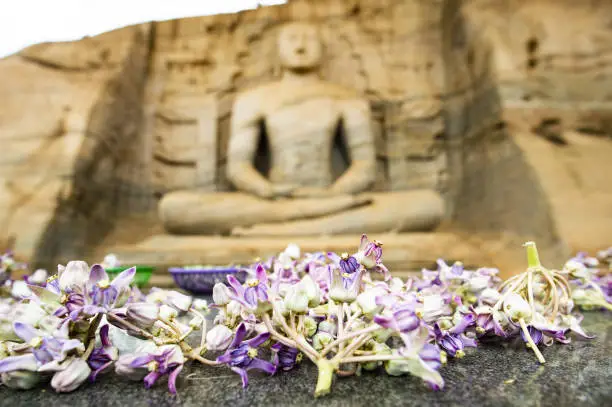 (Selective focus) Blurred Samadhi statue carved in stone in the background with beautiful flowers in the foreground. The Samadhi Statue is a statue situated at Mahamevnawa Park in Anuradhapura, Sri Lanka.