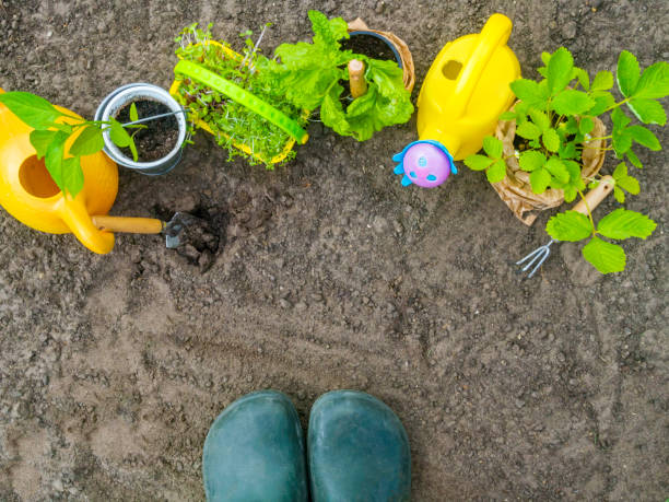 herramientas de jardinería, botas verdes, agua de riego, plántulas, plantas y suelos. - trowel watering can dirt shovel fotografías e imágenes de stock