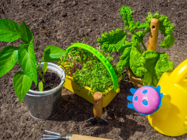 herramientas de jardinería, riego, plántulas, plantas y suelos. - trowel watering can dirt shovel fotografías e imágenes de stock