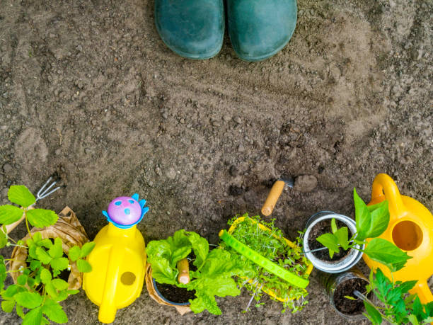 herramientas de jardinería, botas verdes, agua de riego, plántulas, plantas y suelos. - trowel watering can dirt shovel fotografías e imágenes de stock