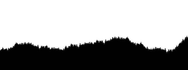 istock Realistic illustration of landscape horizon with coniferous forest and tree tops. Widescreen template - vector 1148808659