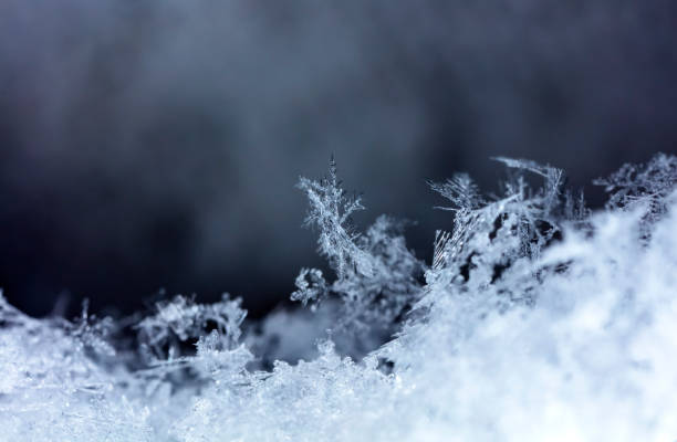 istock natural snowflakes on snow, winter 1148808758