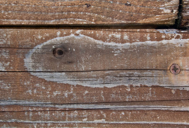 istock weathered wood texture with rusted screw 1148810483