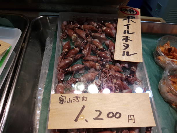 istock tokyo fish market japan 1148810555