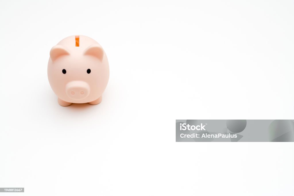 Cute Little Piggy Bank on white Animal Stock Photo