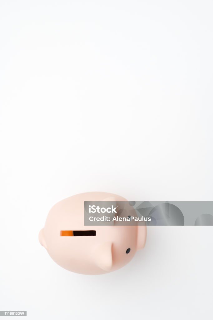 Cute Little Piggy Bank on white Animal Stock Photo