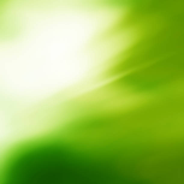 istock Sunny abstract green soft nature background 1148813825
