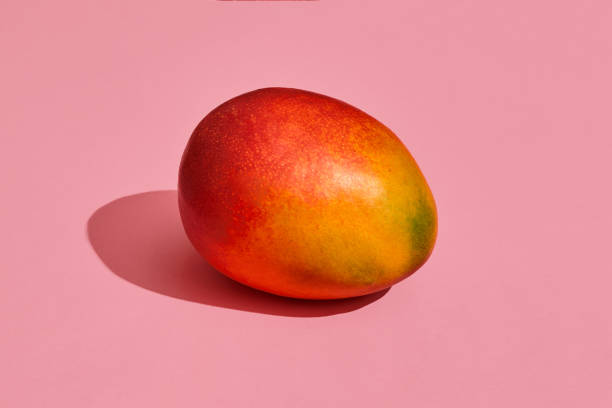 Colorful fruit pattern of fresh whole mango on coral pink background, top view