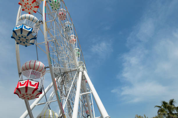 istock Ferris Wheel and Palm Tree at blue sky background. 1148816979