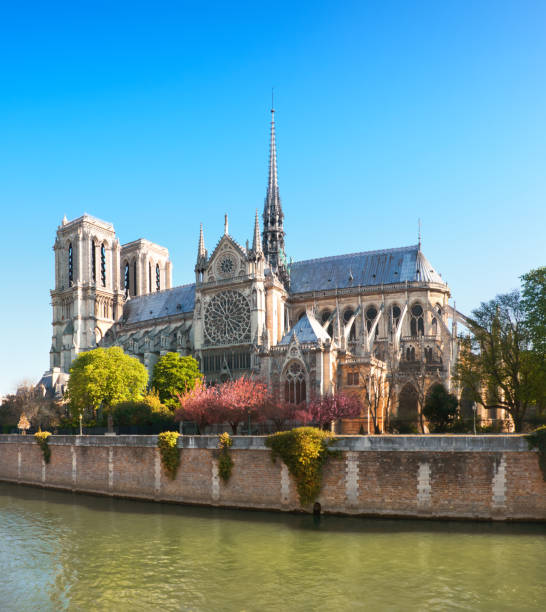 istock Panoramic image of Notre Dame de Paris in Spring before the fire 1148818197