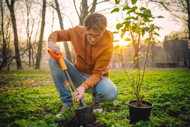 Volunteer gardening in springtime
