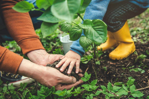 Little boy and his father gardening in spring