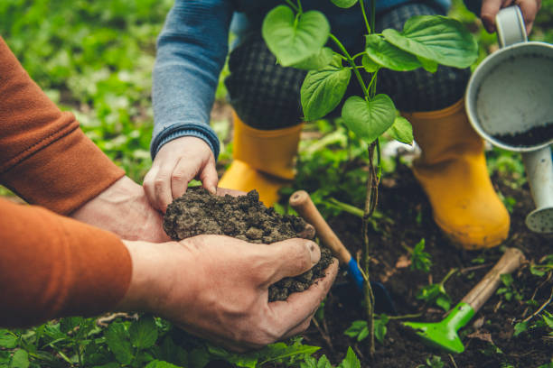 las manos de los padres y su hijo ayudando a la jardinería en el día del árbol en primavera - tree men nature human hand fotografías e imágenes de stock