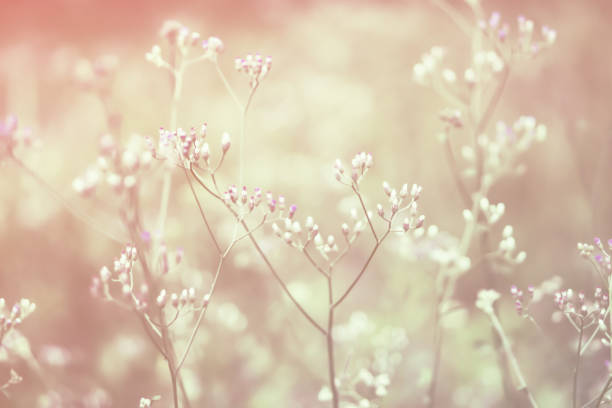 istock Spring grass flower nature wallpaper background 1148822498