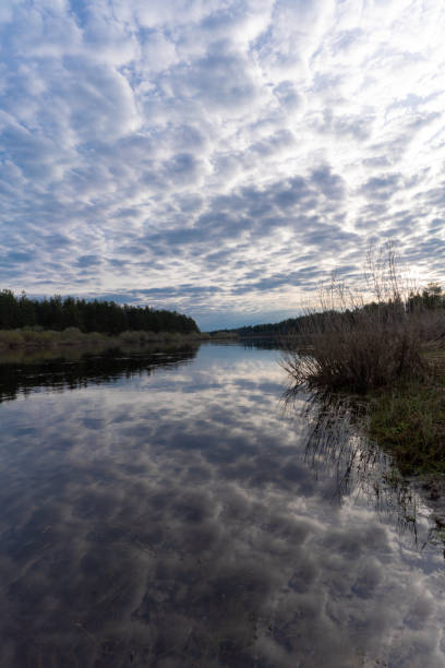 istock reflection of a tree in a lake 1148823754