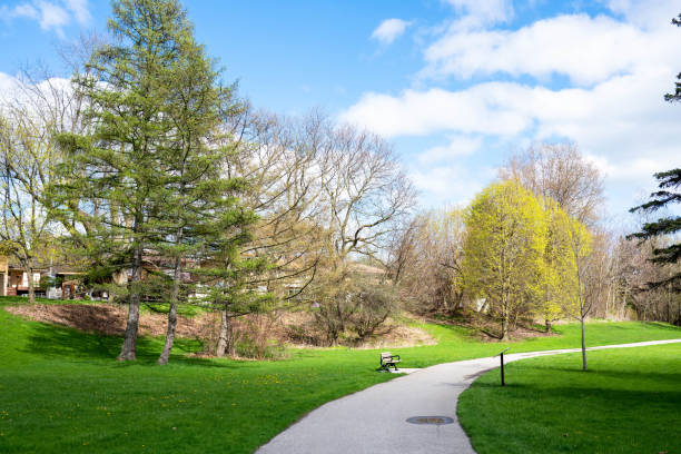 Peaceful Park with beautiful weather stock photo