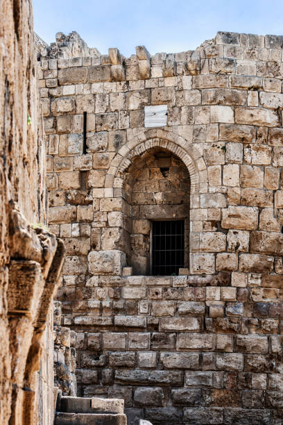 istock Sea castle in Saida 1148825709