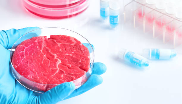 istock Meat sample in open  disposable plastic cell culture dish in modern laboratory 1148826068