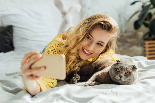 istock selective focus of beautiful young woman taking selfie on smartphone while lying in bed with scottish fold cat 1148829068
