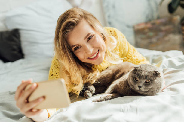 istock selective focus of beautiful smiling young woman taking selfie on smartphone while lying in bed with scottish fold cat 1148829070