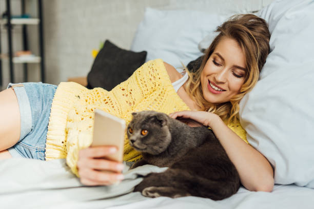 istock beautiful smiling young woman using smartphone while lying in bed with scottish fold cat 1148829137