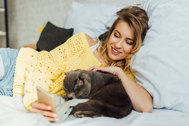 istock beautiful young woman using smartphone while lying in bed with scottish fold cat 1148829154