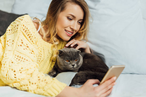 istock beautiful young woman taking selfie on smartphone while lying in bed with scottish fold cat 1148829174