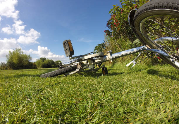 istock Bicycle on the grass on a sunny summer day outdoor 1148829188