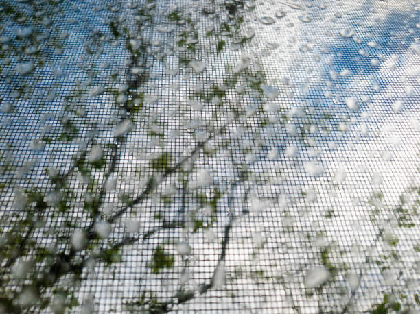 istock Rain drops on the window in the close-up 1148832076