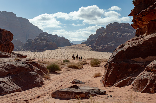 the Wadi Rum desert is a large natural sandy landscape in Jordan when tourist can enjoy bedouin heritage and do trekking and use camel for thei transportation.