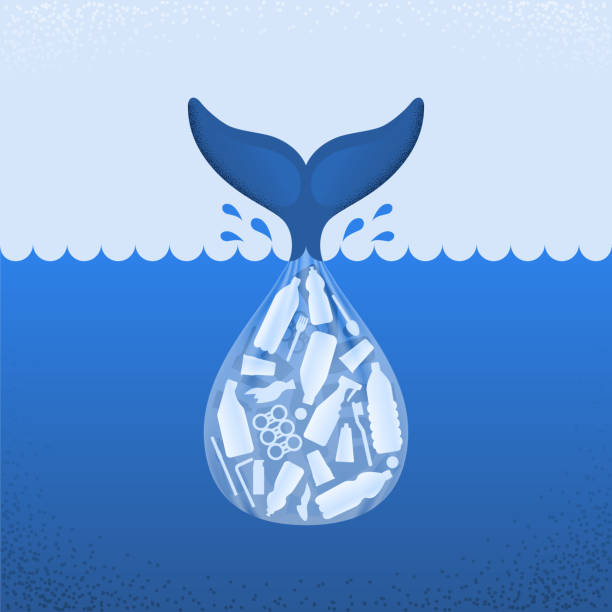 ilustrações de stock, clip art, desenhos animados e ícones de ocean plastic pollution. ecological poster. tail of whale and bag with plastic bottle and garbage on blue background. plastic problem. - save oceans