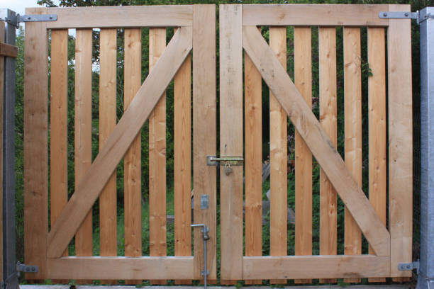 istock Wooden gate  Closed gate with a padlock 1148839231